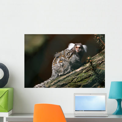 Monkey Wall Mural shown on a wall