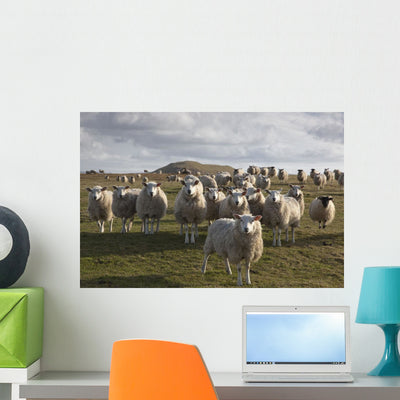 Northumberland England Wall Mural shown on a wall