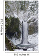 Oregon Of America Wall Mural
