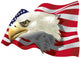 patriotic theme Wall Decal