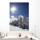 Timberline, Oregon Cascades Of America Wall Mural