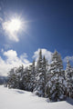 Timberline, Oregon Cascades Of America Wall Mural