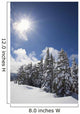 Timberline, Oregon Cascades Of America Wall Mural