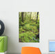 Green Foliage On The Forest Floor Wall Mural