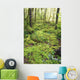 Green Foliage On The Forest Floor Wall Mural