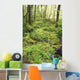 Green Foliage On The Forest Floor Wall Mural