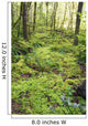 Green Foliage On The Forest Floor Wall Mural