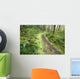 A Trail Leading Through The Forest Wall Mural