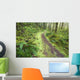 A Trail Leading Through The Forest Wall Mural
