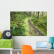 A Trail Leading Through The Forest Wall Mural