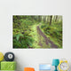 A Trail Leading Through The Forest Wall Mural