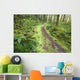A Trail Leading Through The Forest Wall Mural
