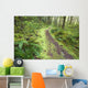 A Trail Leading Through The Forest Wall Mural