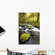 Water Flowing By Moss Covered Rocks In A Stream Wall Mural