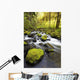 Water Flowing By Moss Covered Rocks In A Stream Wall Mural