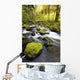Water Flowing By Moss Covered Rocks In A Stream Wall Mural