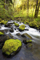 Water Flowing By Moss Covered Rocks In A Stream Wall Mural