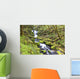 A Stream Flowing Through The Forest Wall Mural