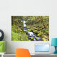 A Stream Flowing Through The Forest Wall Mural