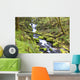 A Stream Flowing Through The Forest Wall Mural