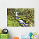 A Stream Flowing Through The Forest Wall Mural
