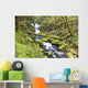 A Stream Flowing Through The Forest Wall Mural