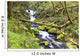 A Stream Flowing Through The Forest Wall Mural