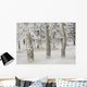 Calgary, Alberta, Canada Wall Mural