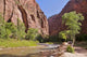 Riverside Walk Zion National Wall Decal