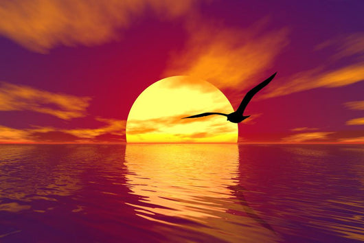 ocean and sunset Wall Mural