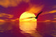 ocean and sunset Wall Mural