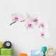 Light Pink Orchid Blooms Wall Decal