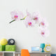 Light Pink Orchid Blooms Wall Decal