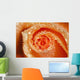 Water Drops On The Petals Of A Rose Wall Mural