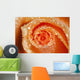 Water Drops On The Petals Of A Rose Wall Mural