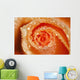 Water Drops On The Petals Of A Rose Wall Mural