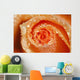 Water Drops On The Petals Of A Rose Wall Mural