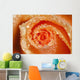 Water Drops On The Petals Of A Rose Wall Mural
