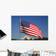The American Flag Wall Mural