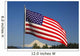 The American Flag Wall Mural