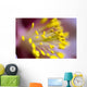 The Stamen Of A Flower Wall Mural