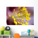 The Stamen Of A Flower Wall Mural