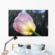 Rain Falling On A Tulip Wall Mural