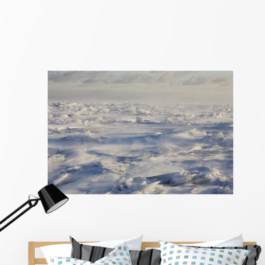 Minnesota Of America Wall Mural