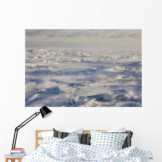 Minnesota Of America Wall Mural