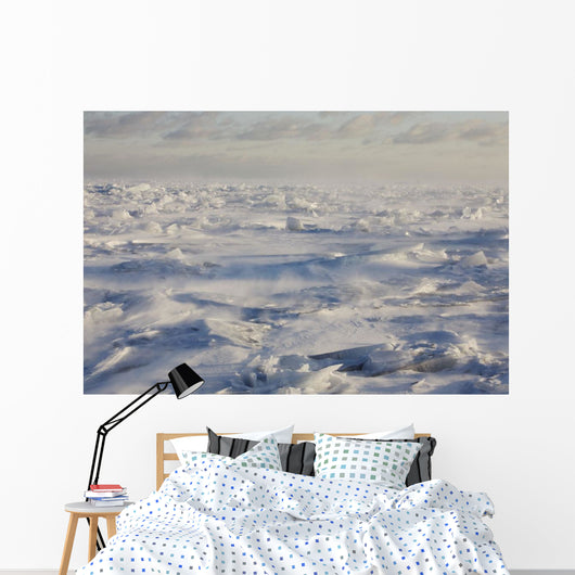 Minnesota Of America Wall Mural