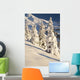 Oregon Of America Wall Mural