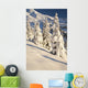 Oregon Of America Wall Mural