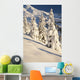 Oregon Of America Wall Mural
