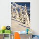 Oregon Of America Wall Mural